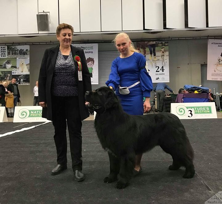 Фотография № 240805