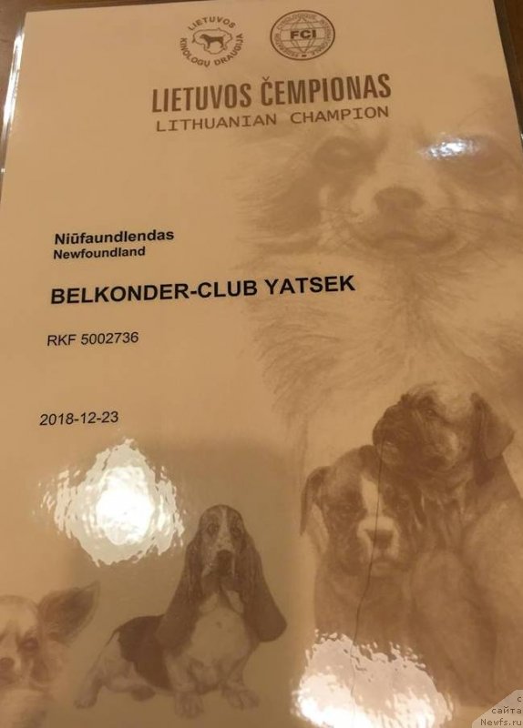 Фотография № 240807