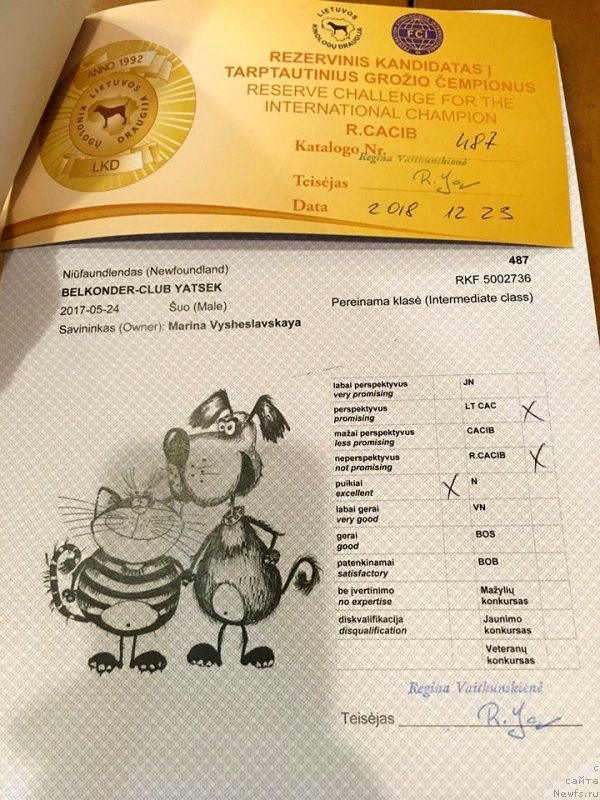 Фотография № 240808