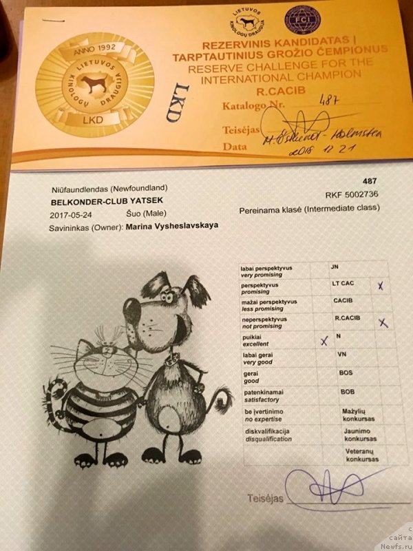 Фотография № 240809