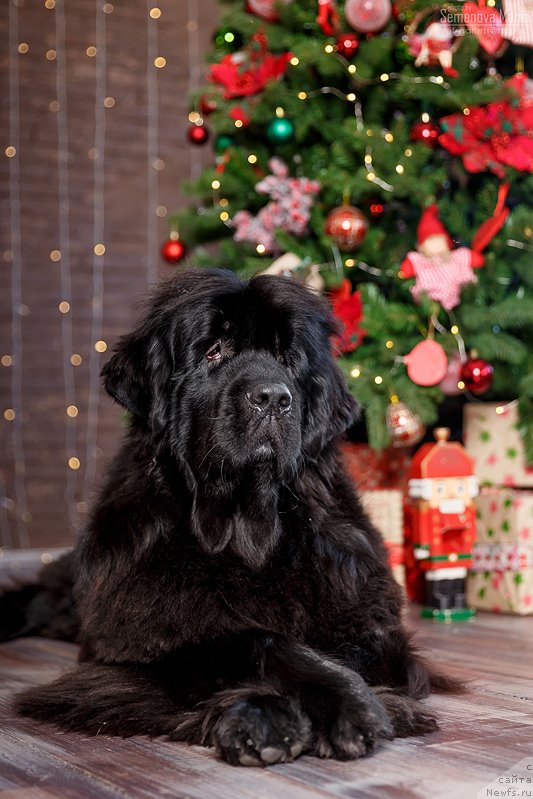 Фотография № 240836