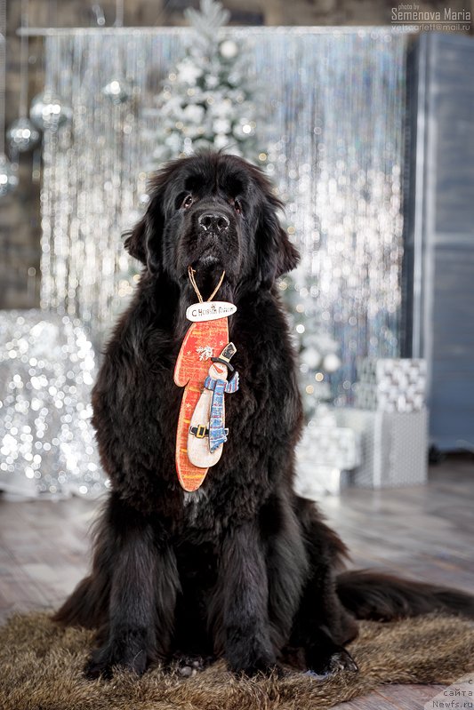 Фотография № 240838