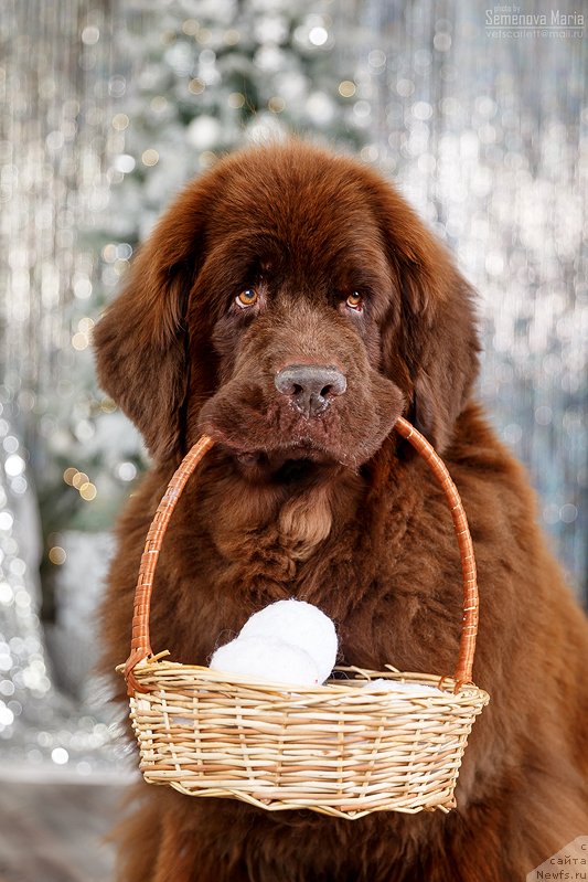 Фотография № 240840