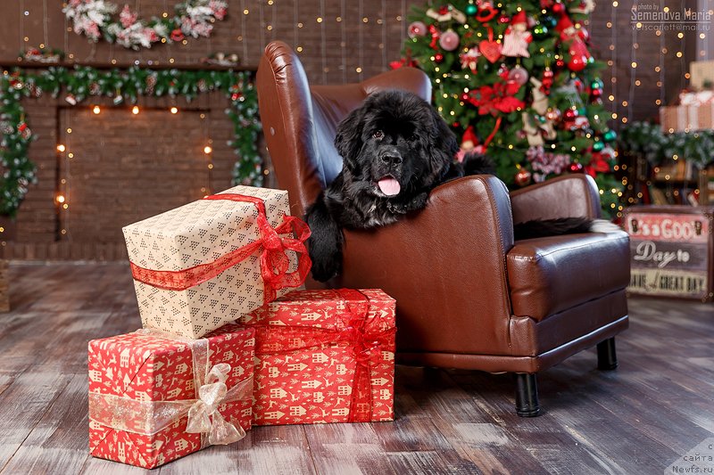 Фотография № 240841