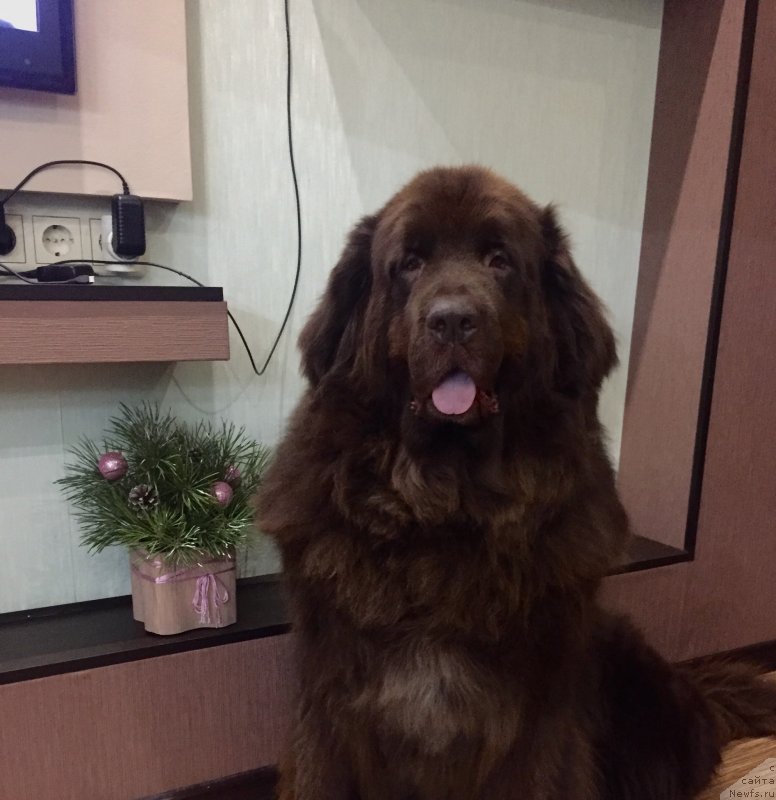 Фотография № 240844