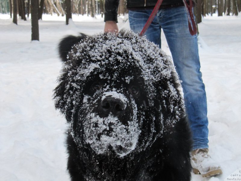 Фотография № 240882