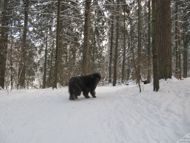 Фотография № 240885