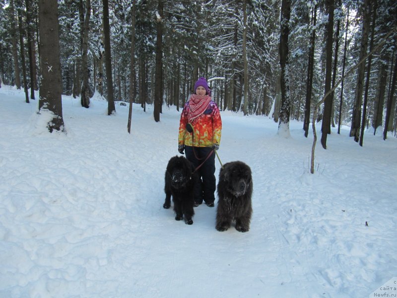 Фотография № 240886