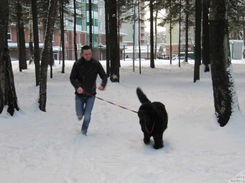 Фотография № 240888