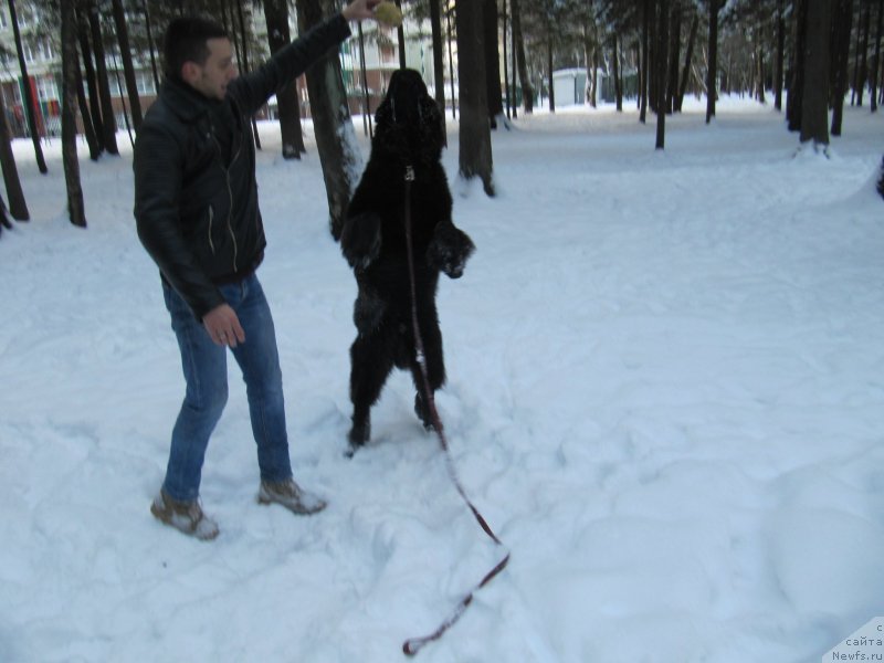 Фотография № 240889