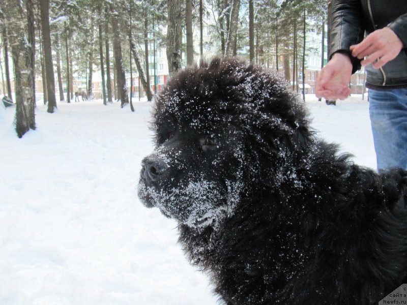 Фотография № 240892