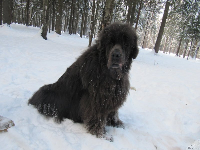 Фотография № 240893