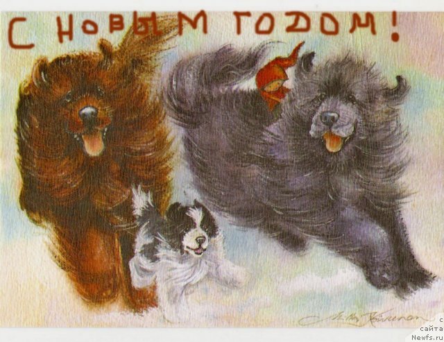 Фотография № 240895