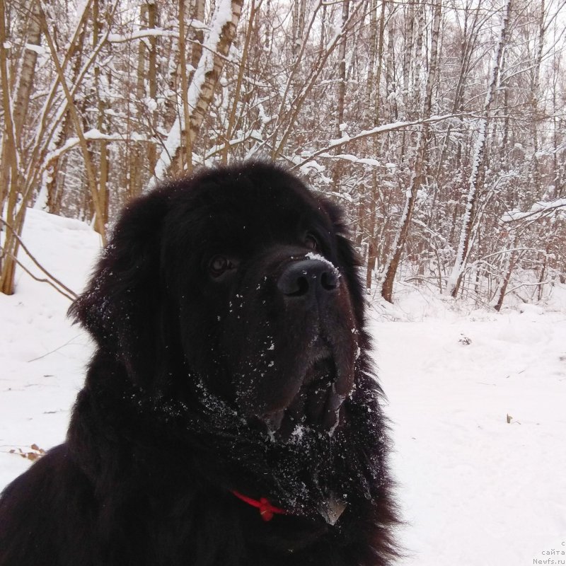 Фотография № 240896