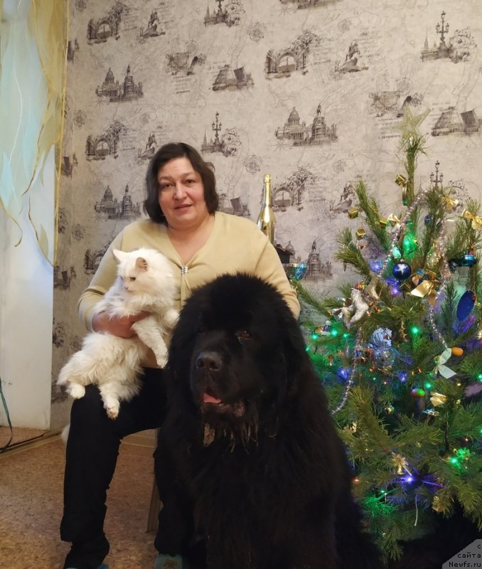 Фотография № 240921