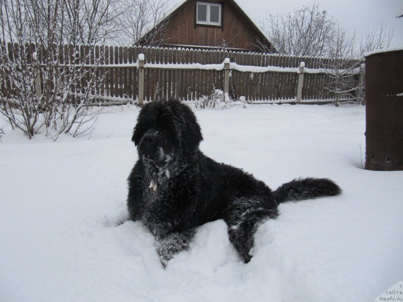 Фотография № 240947