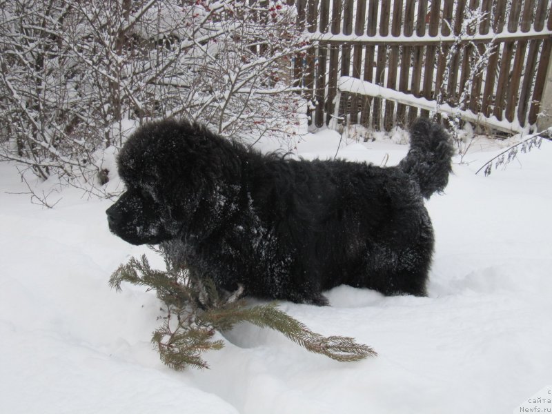 Фотография № 240949