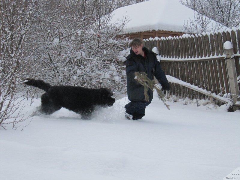 Фотография № 240950