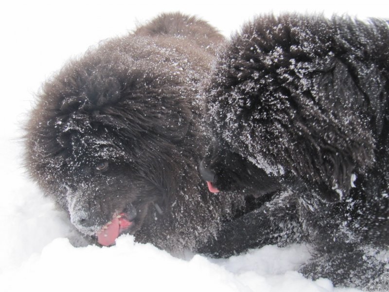 Фотография № 240953