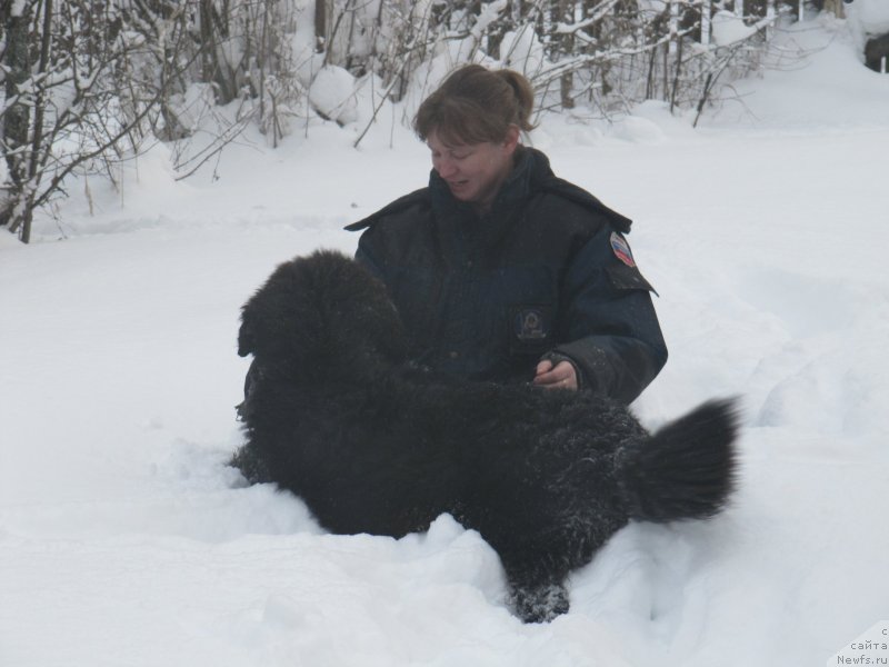 Фотография № 240959