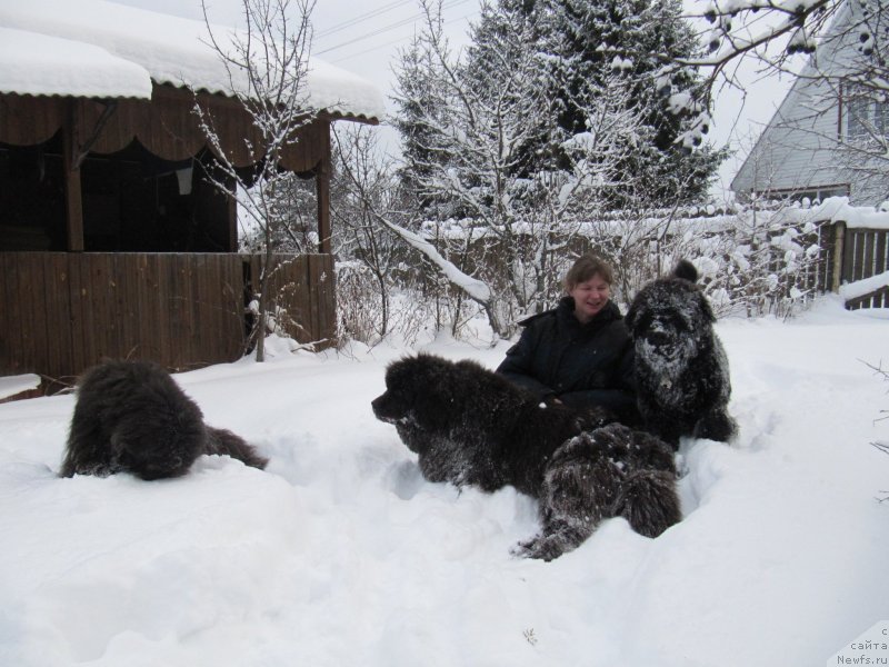 Фотография № 240960