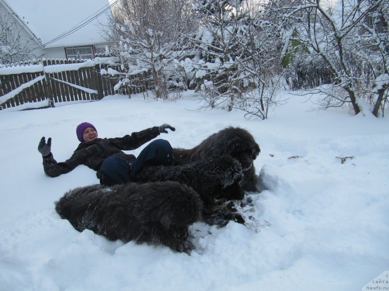 Фотография № 240962