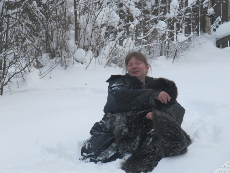 Фотография № 240967