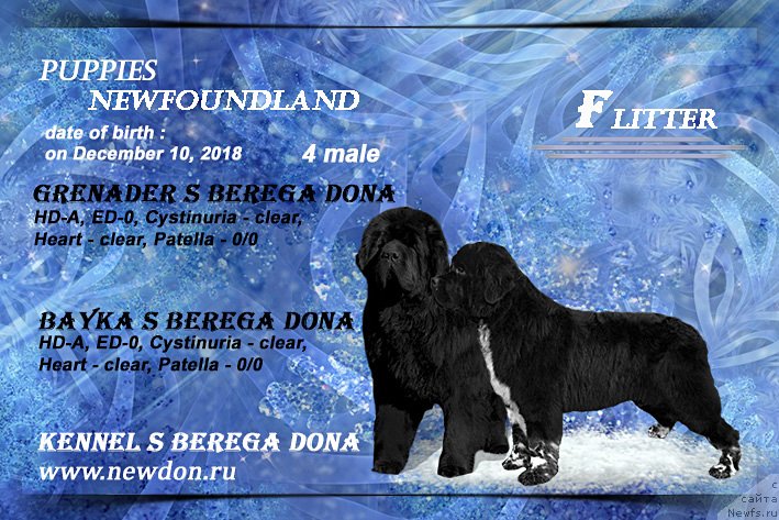 Фотография № 240969