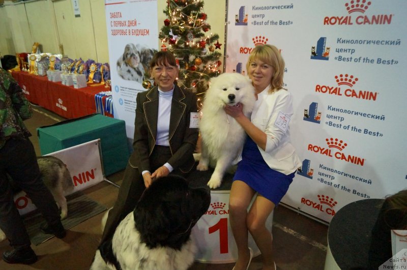 Фото: Я Шама Елена