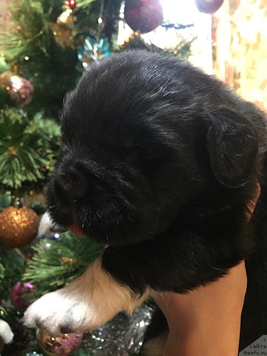 Фото: четвертый