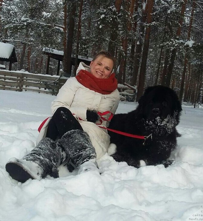 Фото: ньюфаундленд Belkonder-Klab Marsel'eza (Белкондер-Клаб Марсельеза)