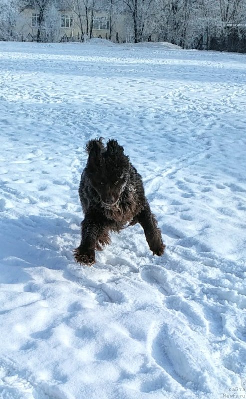 Фотография № 241064