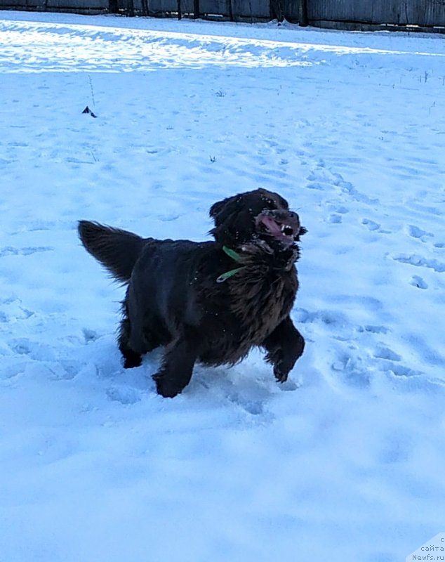 Фотография № 241065