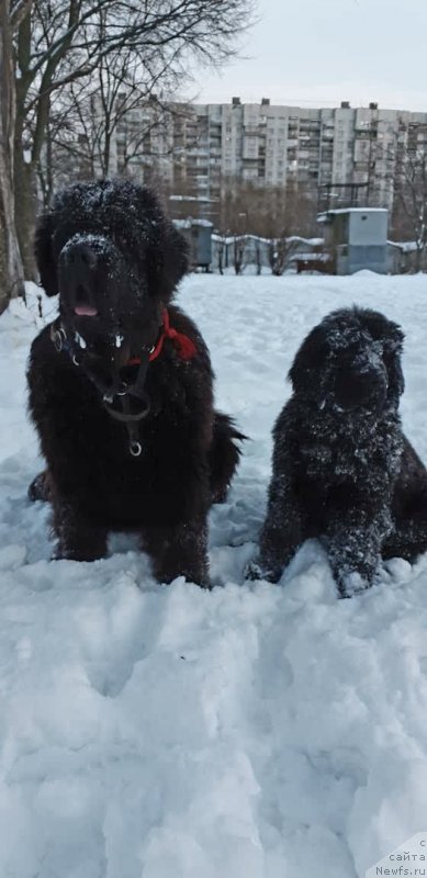 Фотография № 241070