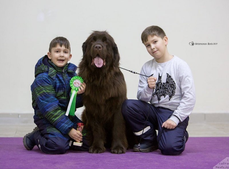 Фотография № 241089