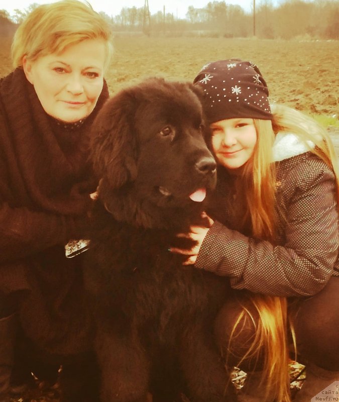 Фото: ньюфаундленд Obush Shed Innerste I Min Sjels (Обуш Шед Иннерсте И Мин Сйелс)