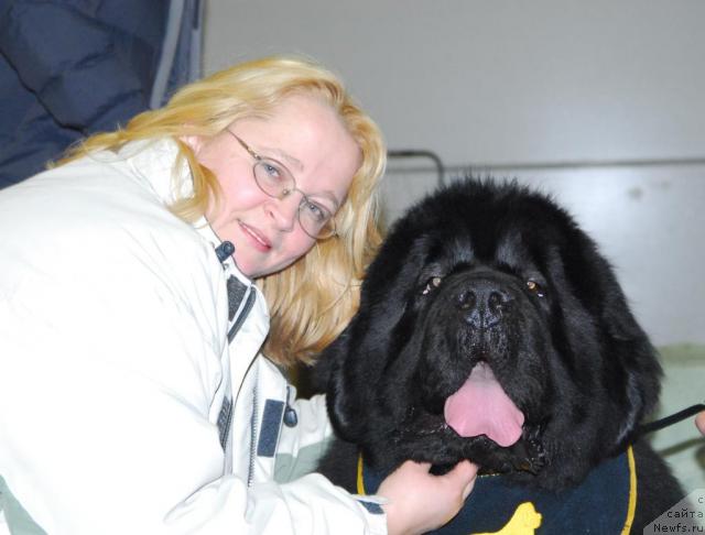 Фото: ньюфаундленд Poison or Honey King of Helluland, YUliya YAstrebova (Юлия Ястребова)