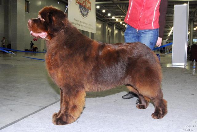 Фотография № 24122