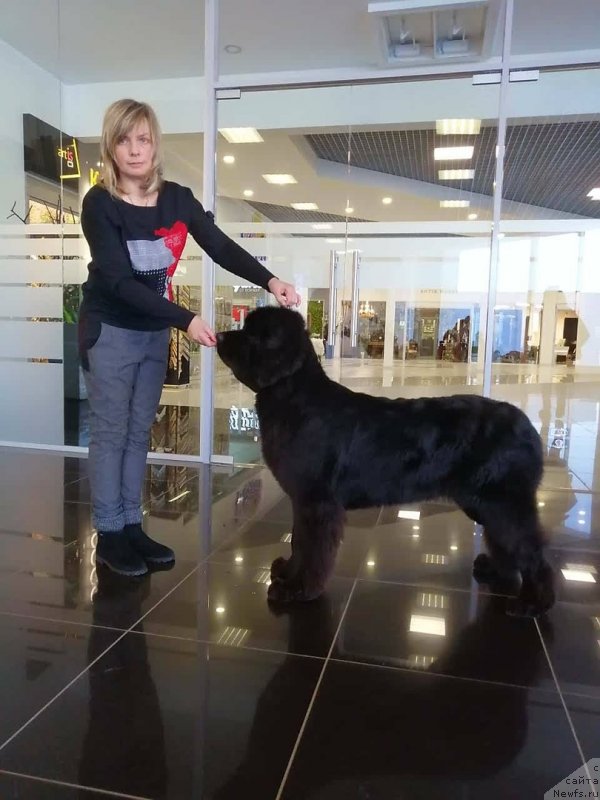 Фотография № 241227