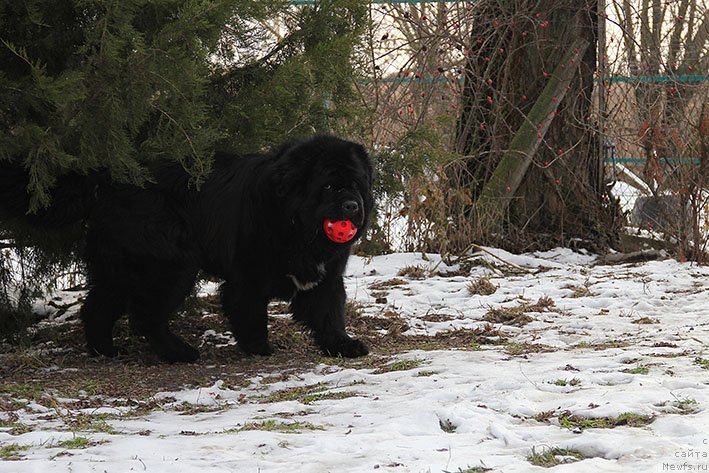 Фотография № 241231