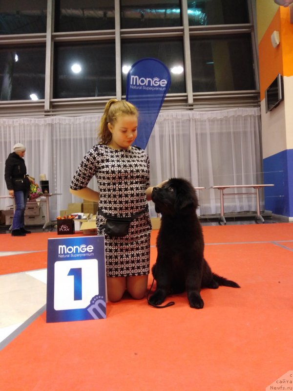 Фото: Alina Fahrutdinova (Алина Фахрутдинова)