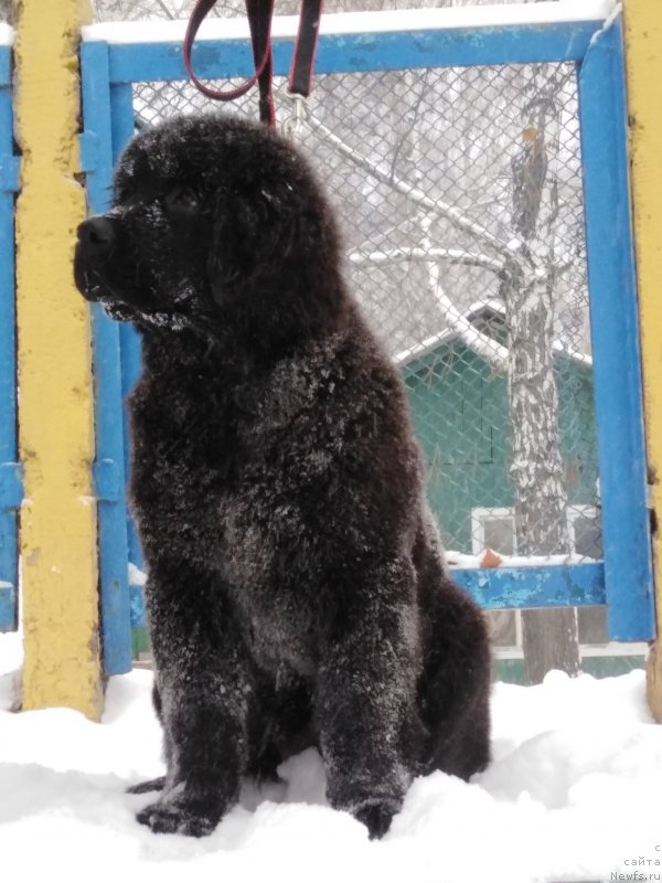 Фото: Alina Fahrutdinova (Алина Фахрутдинова)