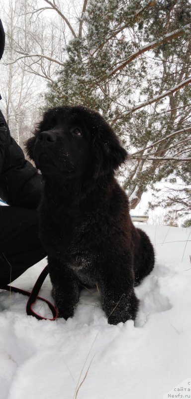 Фото: Alina Fahrutdinova (Алина Фахрутдинова)