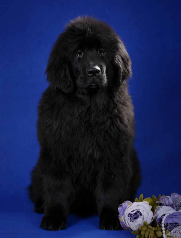 Фото: Alina Fahrutdinova (Алина Фахрутдинова)