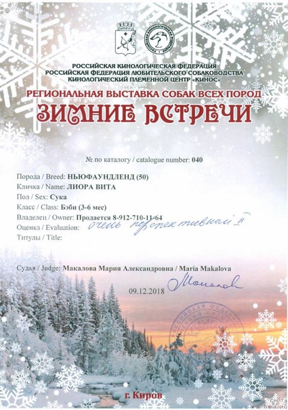 Фото: Alina Fahrutdinova (Алина Фахрутдинова)