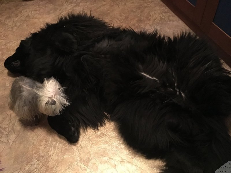 Фотография № 241307