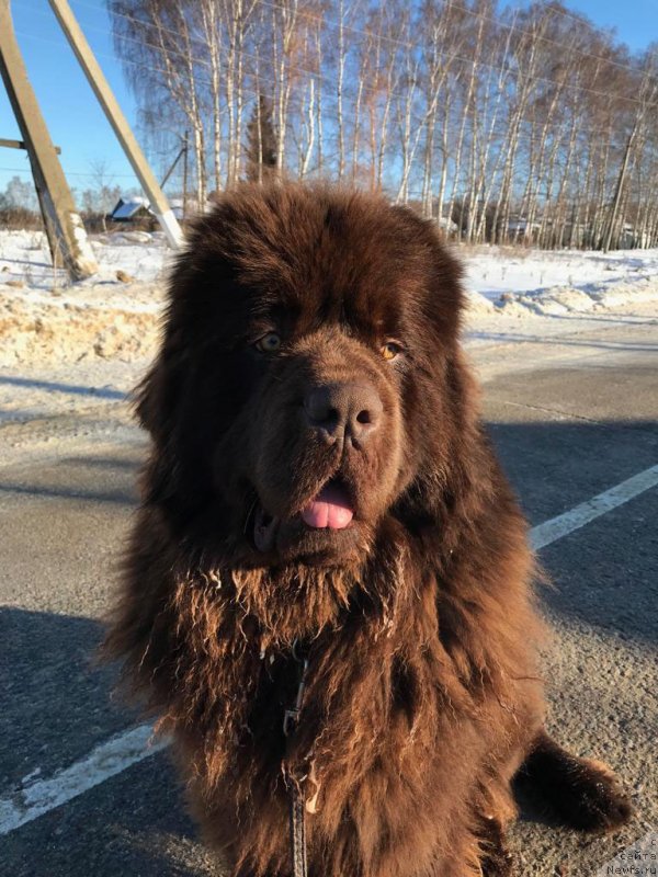 Фотография № 241328