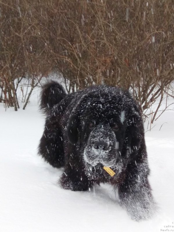 Фотография № 241362