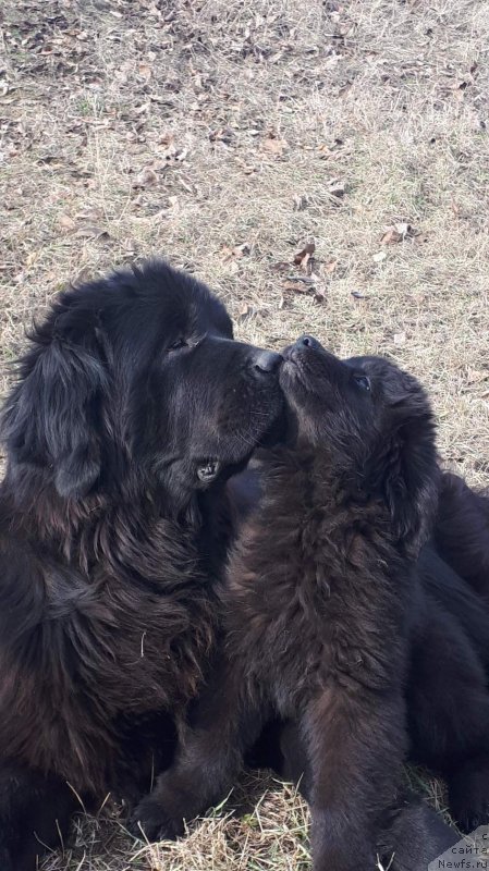 Фото: Svetlana Pankova (Светлана Панкова)