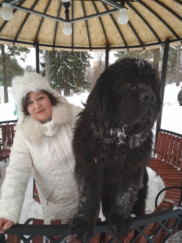 Фотография № 241413